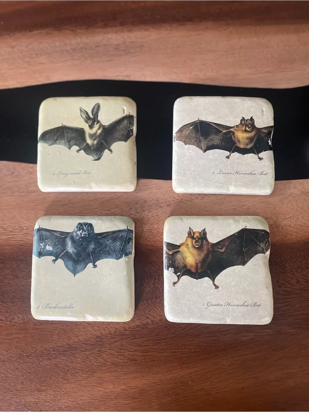 Set of 4 Cream Bat Illustration Coasters – Decorative Stone Drink Coasters